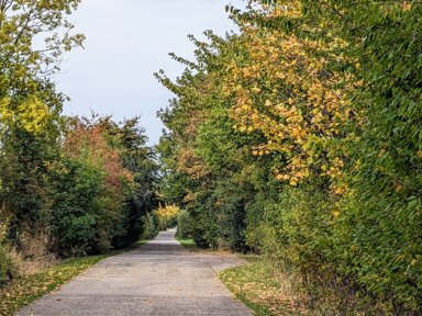 Land-/Forstwirtschaft zum Kauf 168.000 € 797 m² Grundstück Wohlenhagen Wohlenhagen 23948