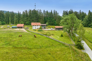 Einfamilienhaus zum Kauf 1.299.000 € 7 Zimmer 220 m² 37.000 m² Grundstück Haidmühle 94145