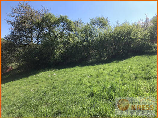 Grundstück zum Kauf 50.360 € 1.259 m² Grundstück Ahlersbach Schlüchtern 36381