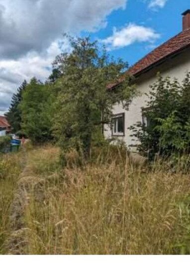 Grundstück zum Kauf 270.000 € 1.200 m² Grundstück Heiligenkirchen Detmold 32760