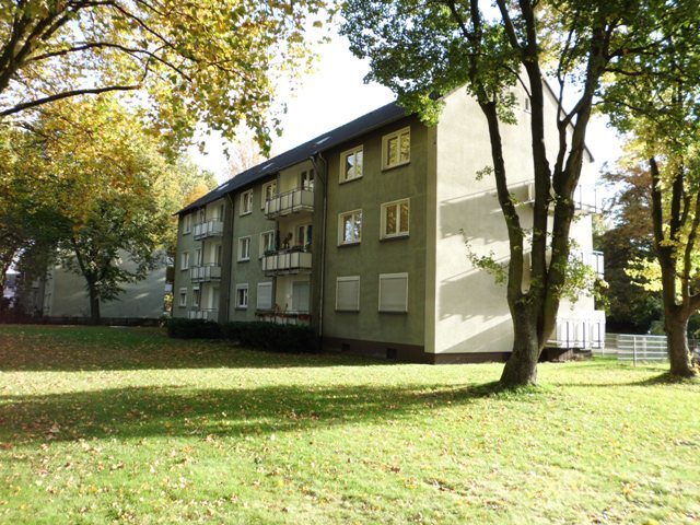 Wohnung zur Miete 369 € 3,5 Zimmer 49,8 m²<br/>Wohnfläche Erdgeschoss<br/>Geschoss Basunestraße 3 Altenessen-Nord Essen 45329