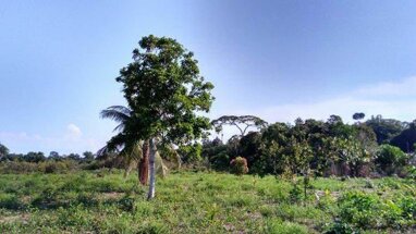 Grundstück zum Kauf 7.425.000 € 9.999.999 m² Grundstück Manaus 69000-000
