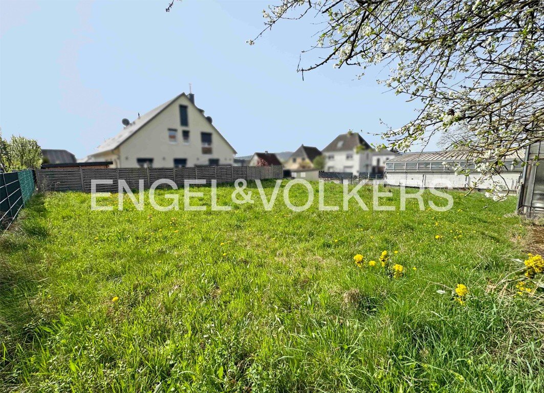 Grundstück zum Kauf 529.000 € 868 m²<br/>Grundstück Wehrheim Wehrheim 61273