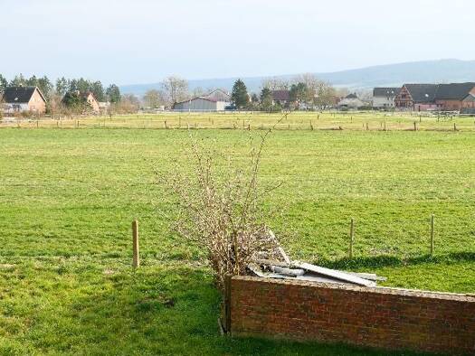 Einfamilienhaus zum Kauf provisionsfrei 294.294 € 12 Zimmer 250 m² 900 m² Grundstück Hessisch Oldendorf 31840