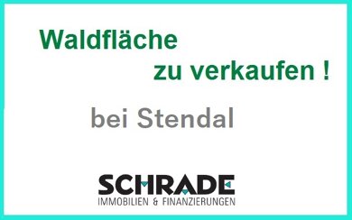 Land-/Forstwirtschaft zum Kauf als Kapitalanlage geeignet 85.000 m² Grundstück Tornau Stendal 39576