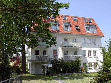 Wohnung zur Miete 505 € 2,5 Zimmer 56 m² Erdgeschoss Grillparzer Str. 44a Cotta (Grillparzerplatz) Dresden 01157