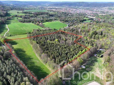 Land-/Forstwirtschaft zum Kauf 59.000 € 49.607 m² Grundstück Saalfeld Saalfeld/Saale 07318