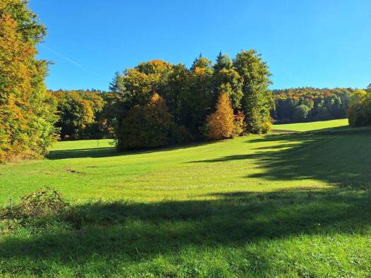 Grundstück zum Kauf 25.000 € 4.231 m² Grundstück Loch Königstein 92281