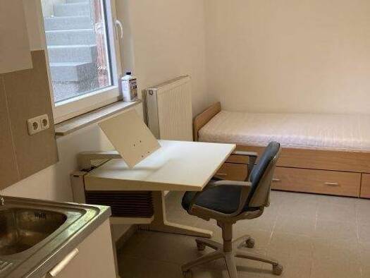 Studio zur Miete Wohnen auf Zeit 250 € 1 Zimmer 13 m² frei ab 01.09.2025 Bruck Erlangen 91058