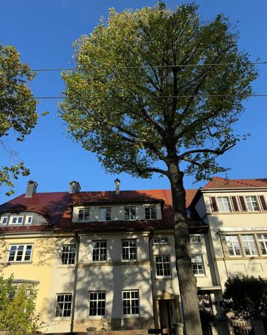 Wohnung zum Kauf provisionsfrei 279.000 € 3 Zimmer 73 m² Dachgeschoss, 2. Geschoss frei ab sofort Friedrich-Ebert-Straße 15 Daberstedt Erfurt 99096