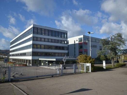 Ausstellungsfläche zur Miete 3.090 m² Verkaufsfläche teilbar ab 400 m² Gengenbach 77723