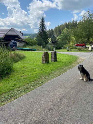 Terrassenwohnung zur Miete 1.050 € 4 Zimmer 114 m² frei ab sofort Engeleweg 18 Peterzell Sankt Georgen im Schwarzwald 78112