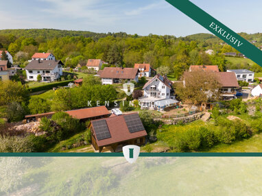 Mehrfamilienhaus zum Kauf 1.299.000 € 7 Zimmer 291 m² 5.833 m² Grundstück Schönhofen Nittendorf / Schönhofen 93152