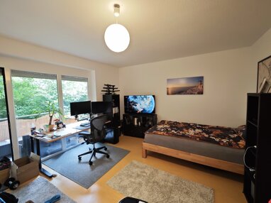 Wohnung zur Miete 450 € 1 Zimmer 33,1 m² frei ab 01.08.2024 Nord Gießen 35396