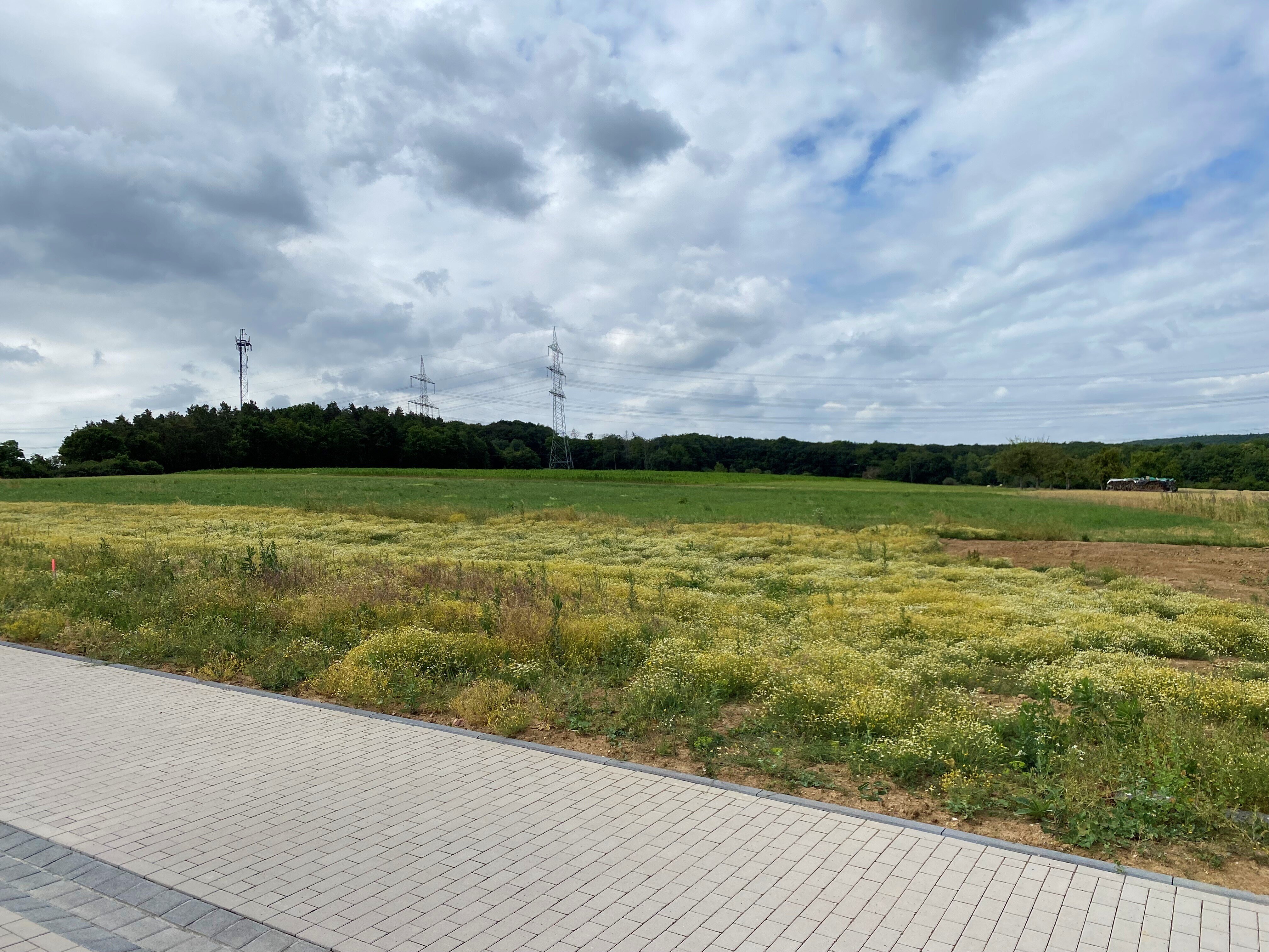 Grundstück zum Kauf Provisionsfrei 217.000 € Löhndorf Sinzig 53489
