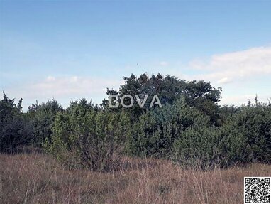 Land-/Forstwirtschaft zum Kauf 80.000 € Zerava 23232