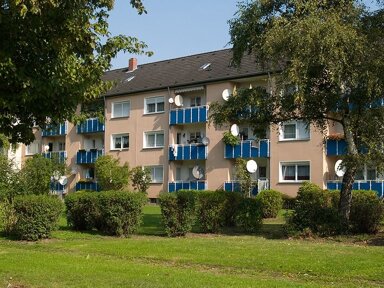 Wohnung zur Miete 528 € 3 Zimmer 63,6 m² EG frei ab 31.03.2025 Sudermannweg 3 Wesseling 50389