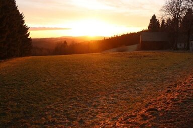 Einfamilienhaus zum Kauf provisionsfrei 5 Zimmer 180 m² 45.966 m² Grundstück Grubenberg Schwarzenbach a.Wald 95131