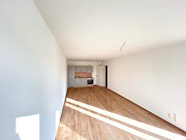 Wohnung zur Miete 620 € 2 Zimmer 42,8 m² Kaliskaweg 2c Reinfeld 23858