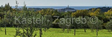Land-/Forstwirtschaft zum Kauf 599.000 € Rovinjsko Selo