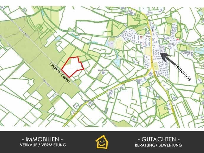 Landwirtschaftliche Fläche zum Kauf 365.000 € 45.018 m²<br/>Fläche Halverde Hopsten 48496