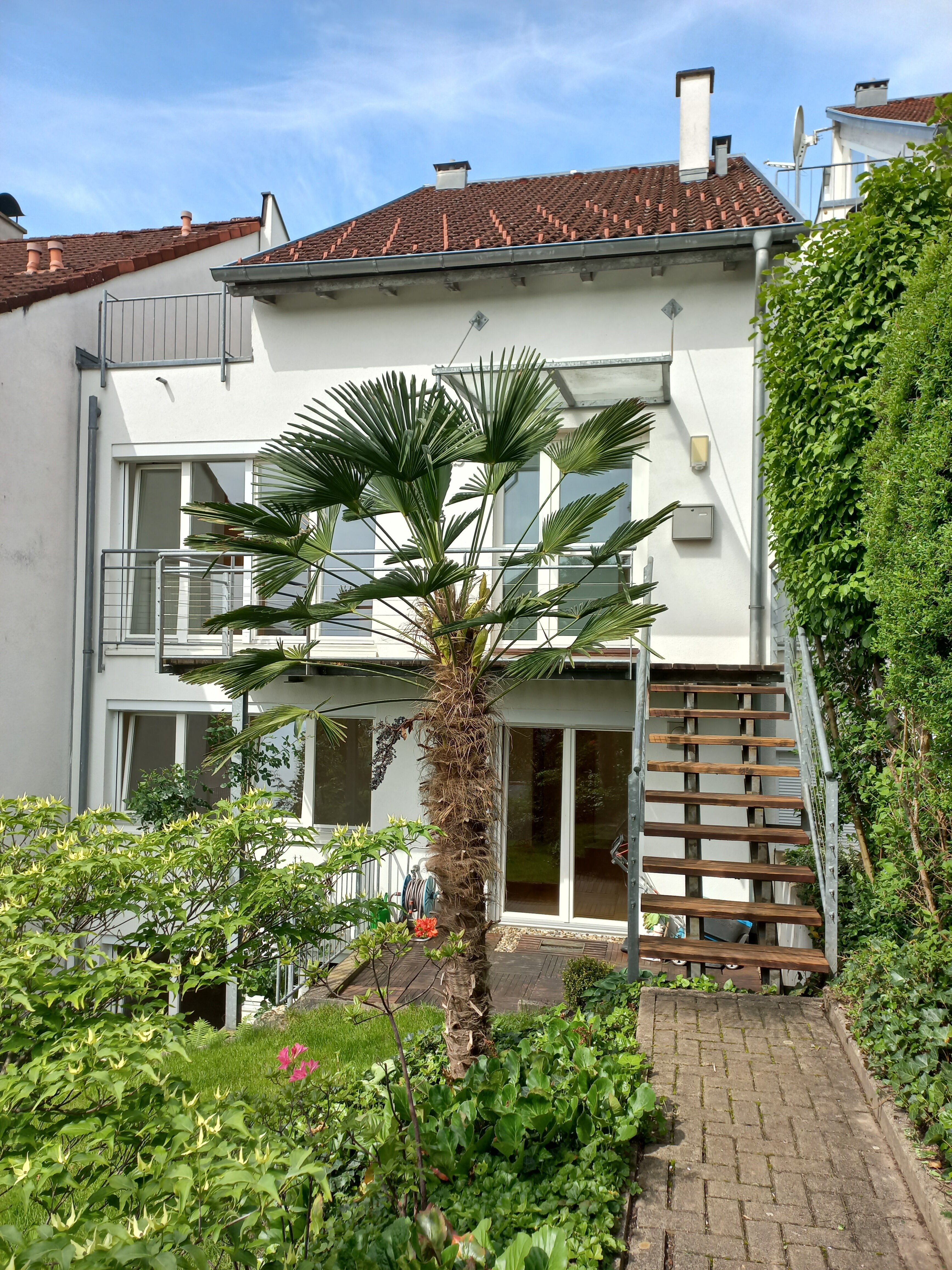 Haus zum Kauf 620.000 € 5 Zimmer 131,5 m²<br/>Wohnfläche 224 m²<br/>Grundstück Ab sofort<br/>Verfügbarkeit Hauingen Lörrach 79541