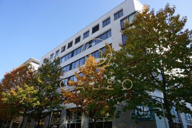 Bürofläche zur Miete Provisionsfrei 17,50 € 915 m² Bürofläche teilbar ab 305 m² Bockenheim Frankfurt am Main 60486
