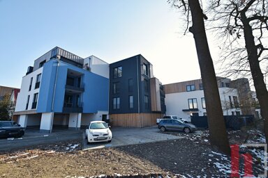 Wohnung zur Miete 500 € 2 Zimmer 36,8 m² EG frei ab 01.03.2025 Vechta Vechta 49377