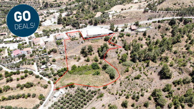 Land-/Forstwirtschaft zum Kauf 115.000 € 9.340 m² Grundstück Nicosia