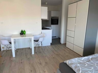 Apartment zur Miete 415 € 1 Zimmer 40 m² 3. Geschoss Schulstraße 9-17 Mitte / Stadtbezirk 111 Ludwigshafen am Rhein 67059