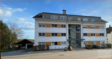 Mehrfamilienhaus zum Kauf 2.500.000 € 19 Zimmer 521,7 m² Nollingen Rheinfelden 79618