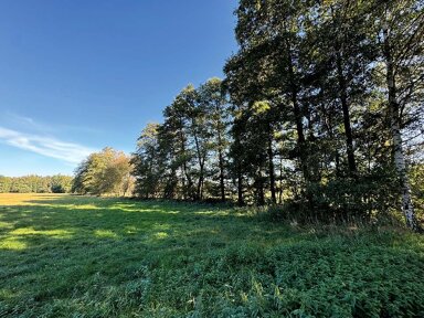 Land-/Forstwirtschaft zur Versteigerung 1.000 € 5.060 m² Grundstück Ortsteil Daubitz Rietschen Rietschen 02956