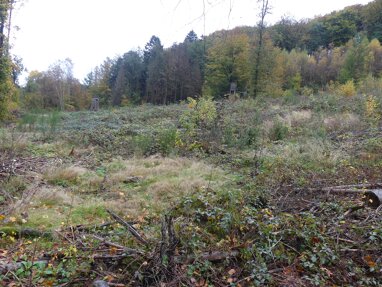 Forstwirtschaft zum Kauf Provisionsfrei 48.000 € 8.491 m² 8.491 m² Grundstück Am Sonnenberg Becke Gummersbach 51647
