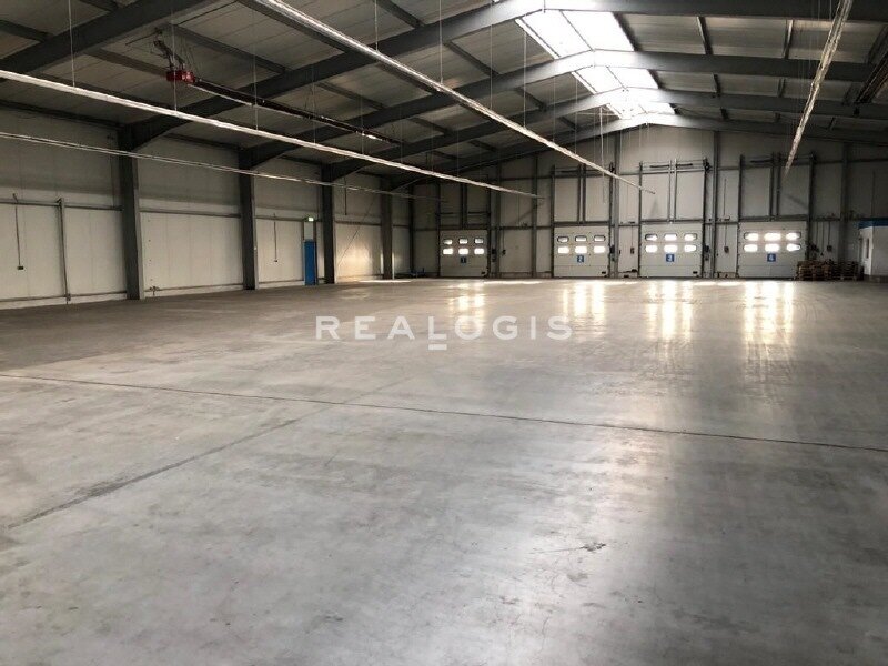 Halle/Industriefläche zur Miete 4.000 m²<br/>Lagerfläche Weinsheim 1 Worms 67547