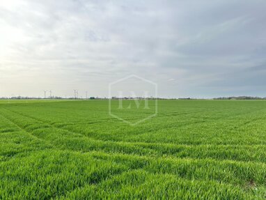 Landwirtschaftliche Fläche zum Kauf 400.000 € 27.495 m² Grundstück Oberbruch Heinsberg 52525