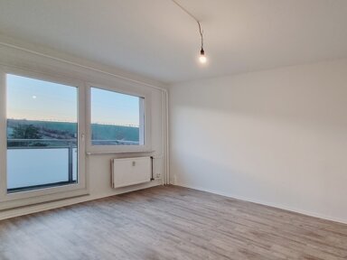 Wohnung zur Miete 262 € 1 Zimmer 29,1 m² 1. Geschoss Harthaer Straße 68 Neu-Omsewitz (Harthaer Str.-West) Dresden 01169