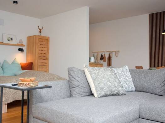 Wohnung zur Miete Wohnen auf Zeit 850 € 1 Zimmer 46 m² frei ab 01.12.2025 Friesenried 87654