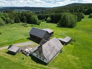 Bauernhaus zum Kauf 115.000 € 4 Zimmer 120 m² 11.275 m² Grundstück Bad Steben Bad Steben 95138
