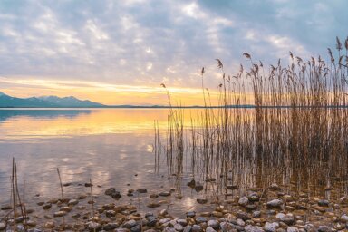 Grundstück zum Kauf provisionsfrei 675.000 € 730 m² Grundstück Feldwies Übersee 83236