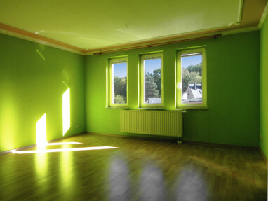Wohnung zur Miete 310 € 2 Zimmer 65,4 m² 2. Geschoss Grüne Linde 21 Greiz Greiz 07973
