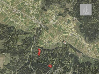 Land-/Forstwirtschaft zum Kauf 33.000 € 10.955 m² Grundstück Schoppernau 6886