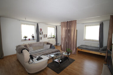 Apartment zum Kauf 35.000 € 1 Zimmer 40 m² 1. Geschoss Nordvorstadt 152 Zwickau 08058