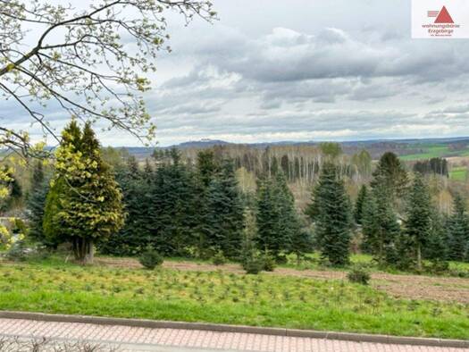 Einfamilienhaus zum Kauf 9 Zimmer 342 m² 1.196 m² Grundstück Gornau Gornau/Erzgebirge 09405