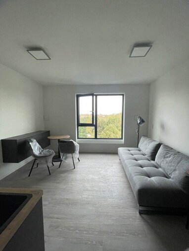 Wohnung zur Miete 550 € 1 Zimmer 25,1 m² 5. Geschoss Laufamholz Nürnberg 90482