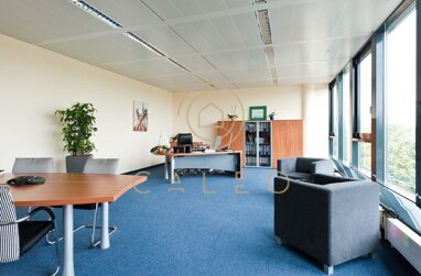 Bürofläche zur Miete Provisionsfrei 13 € 647,7 m² Bürofläche teilbar ab 647,7 m² Bockenheim Frankfurt am Main 60487