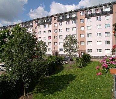 Wohnung zur Miete 365 € 2 Zimmer 56 m² 4. Geschoss Hartmut-Fiedler-Ring 9 Heidenau 01809