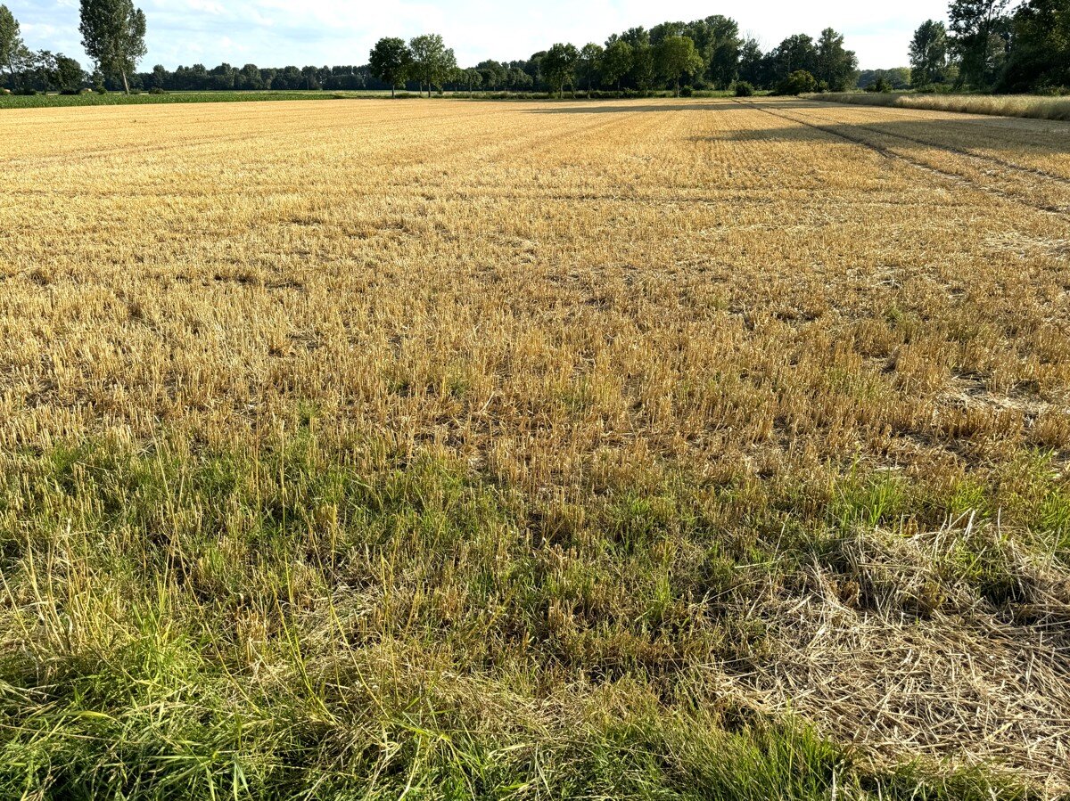 Landwirtschaftliche Fläche zum Kauf 210.000 € 17.561 m²<br/>Fläche 17.561 m²<br/>Grundstück Effeld Wassenberg 41849