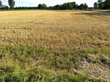 Landwirtschaftliche Fläche zum Kauf 210.000 € 17.561 m² 17.561 m² Grundstück Effeld Wassenberg 41849