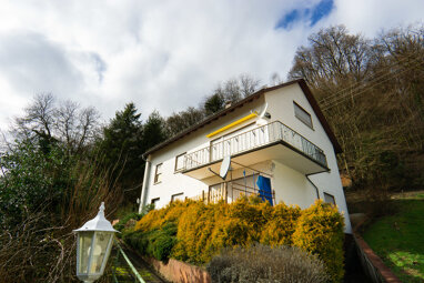 Mehrfamilienhaus zum Kauf 380.000 € 10 Zimmer 224,6 m² 1.294 m² Grundstück Eberbach Eberbach 69412