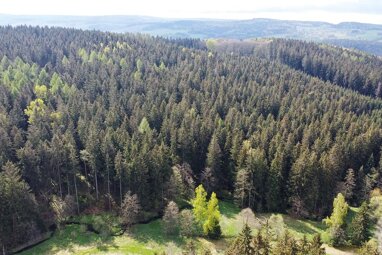 Land-/Forstwirtschaft zum Kauf 4.000 € 5.160 m² Grundstück Huthaer Weg 21 Forchheim Olbernhau 09526